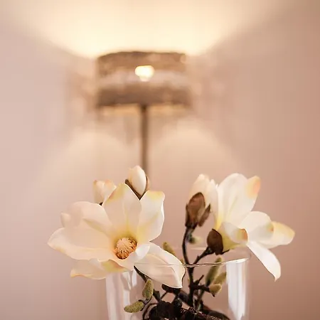 Jovia Vacacional El *