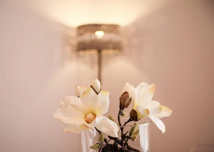 Jovia Vacacional El *