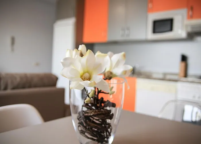 公寓 Jovia Vacacional El